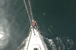 vanuit de mast